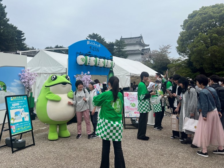하이트진로, 日 벚꽃 축제 프로모션 ...